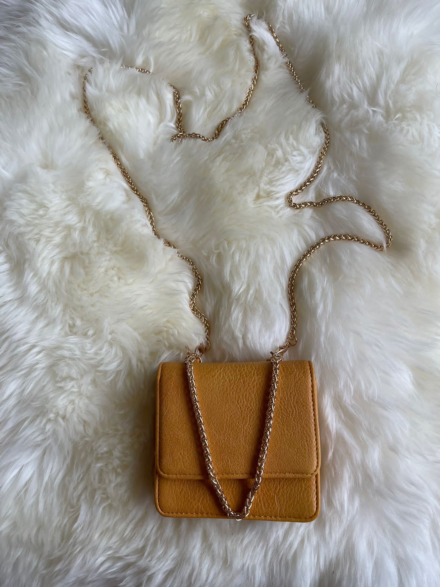 Small Gold Chain Handbags.