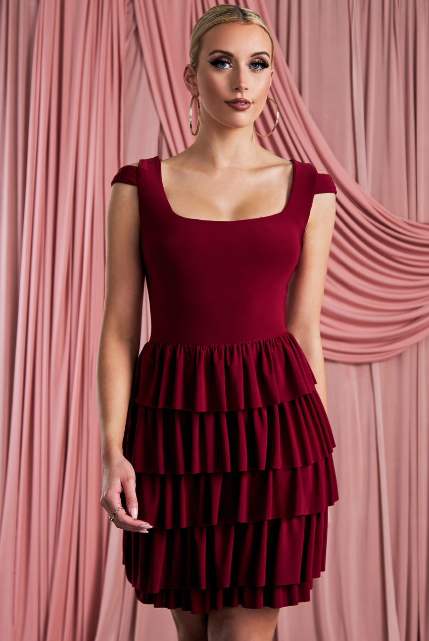 Wine Frill Skirt Dress