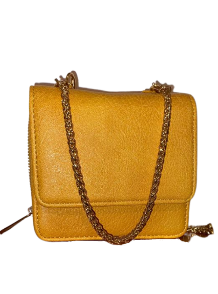 Small Gold Chain Handbags.
